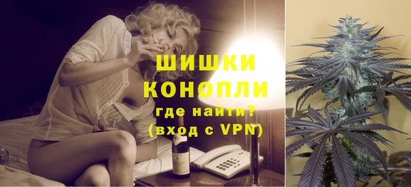молекула духа Белоозёрский
