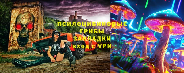 молекула духа Белоозёрский